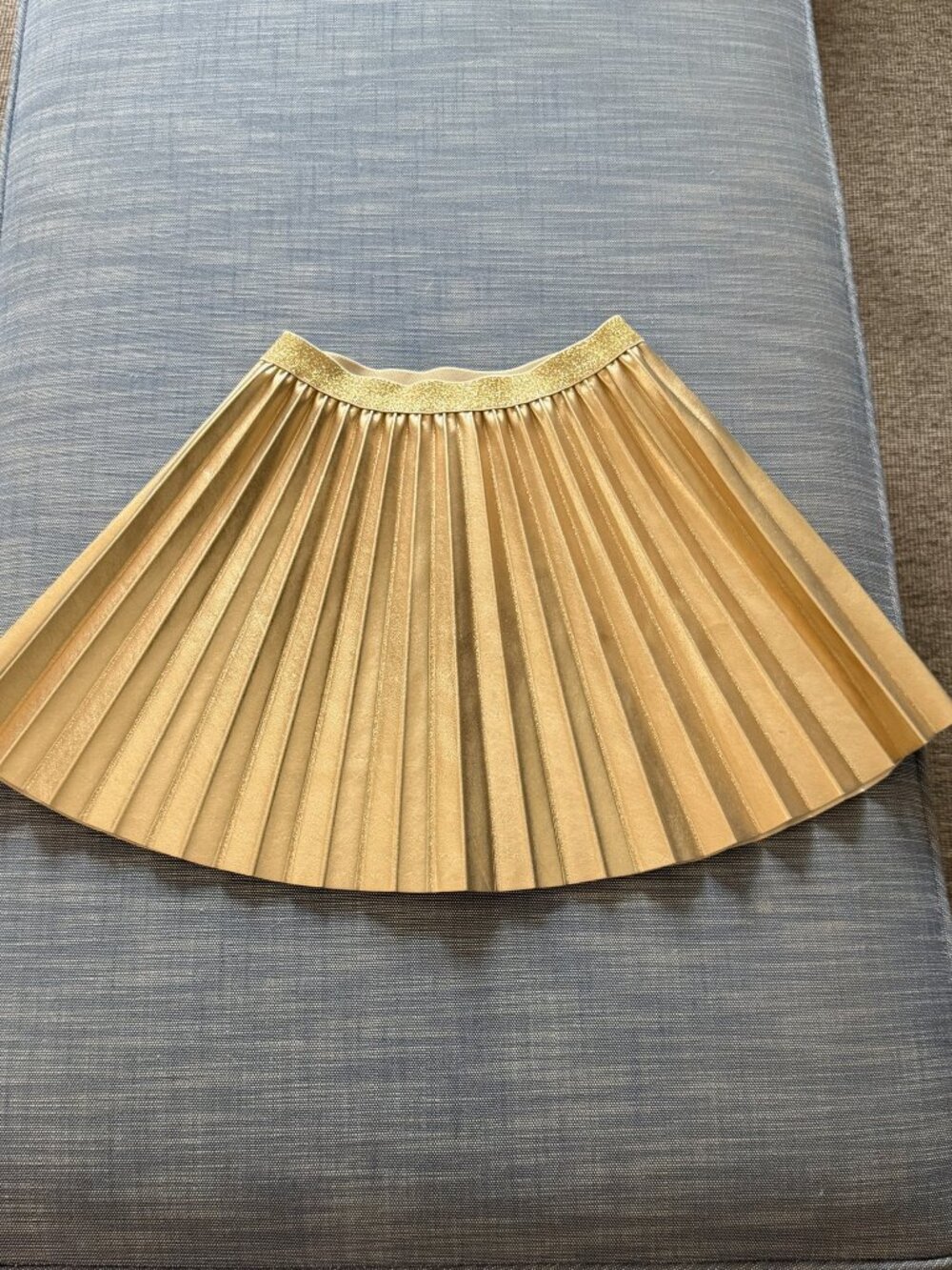 J Crew Girls' pleated metallic skirt